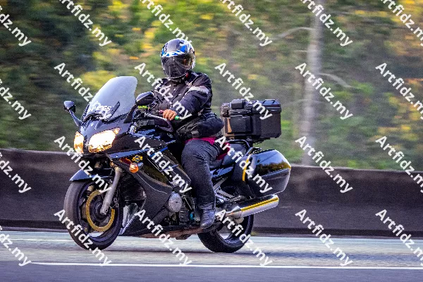 IMG_0499