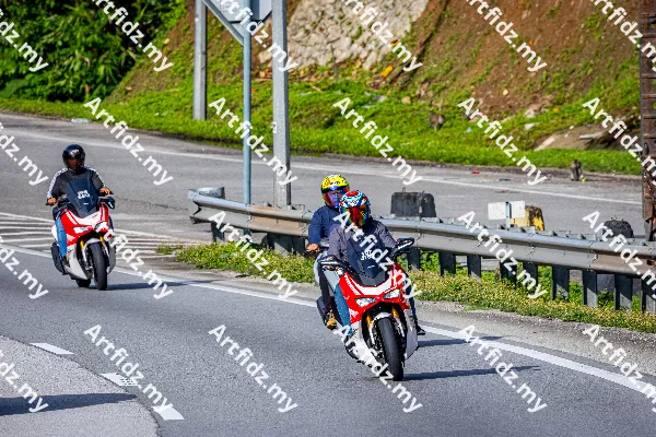 IMG_2365-1