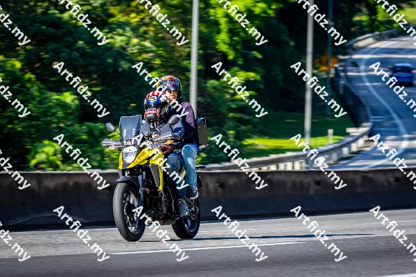IMG_2379-1