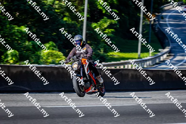 IMG_2596-1