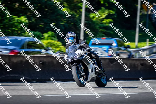 IMG_2651-1