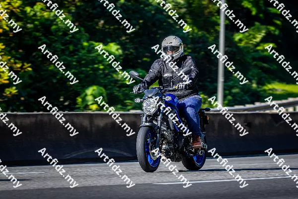 IMG_2694-1