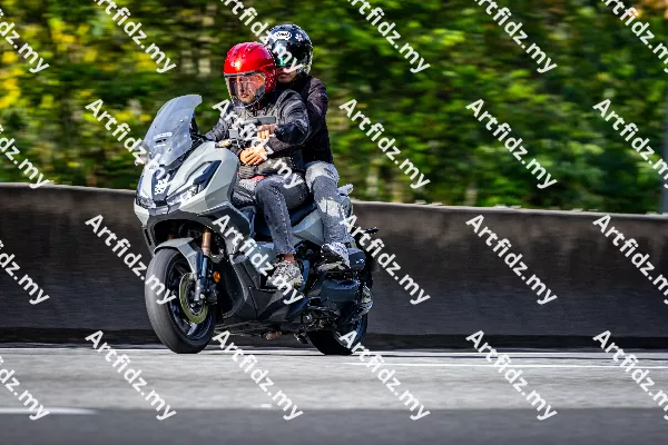 IMG_2831-3
