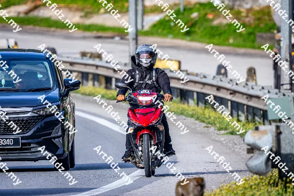 IMG_2919