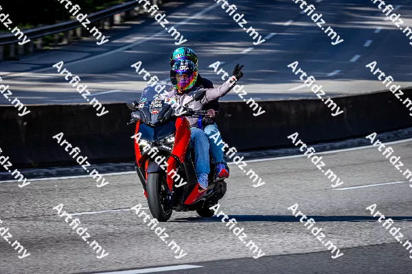 IMG_2951-2