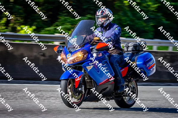 IMG_2965-4