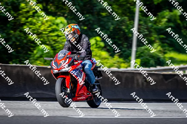 IMG_4239-1