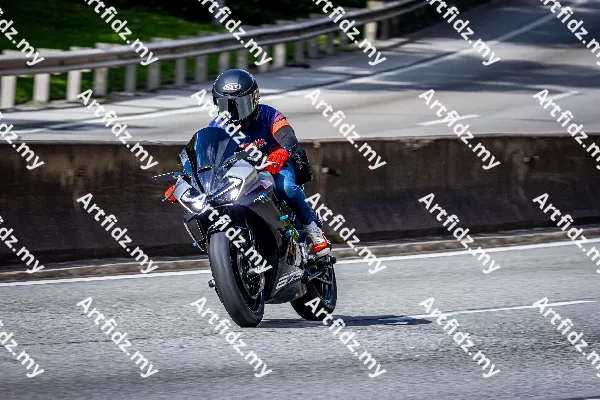 IMG_6158