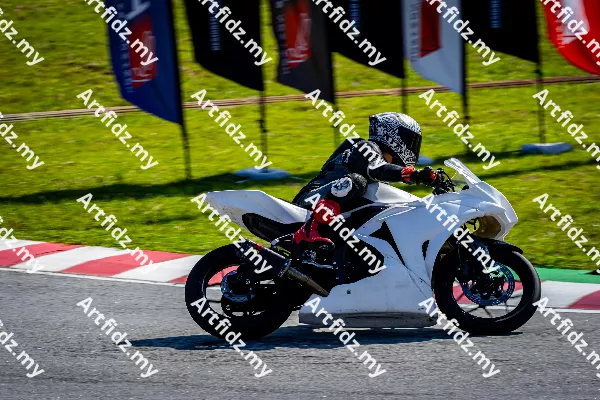 IMG_0659-3