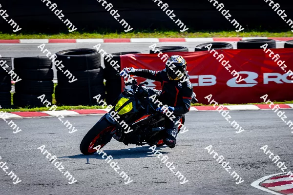 IMG_1193-2-1