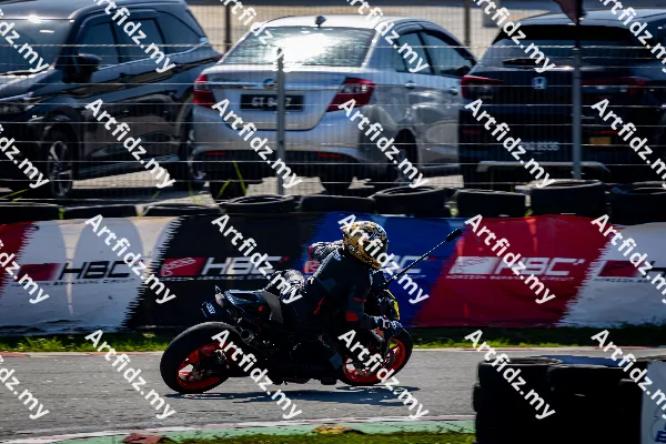 IMG_1197-2-1