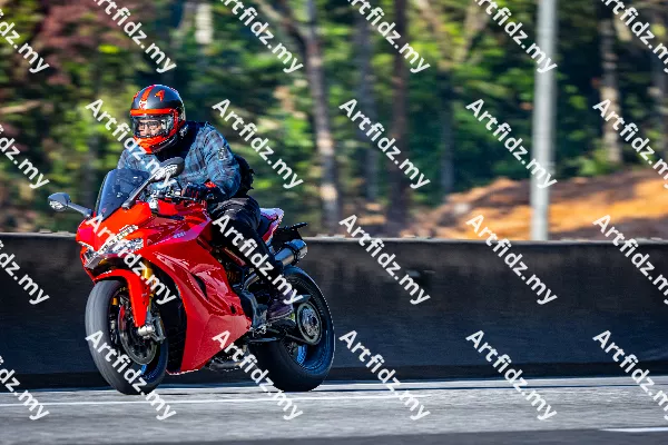 IMG_1340-1