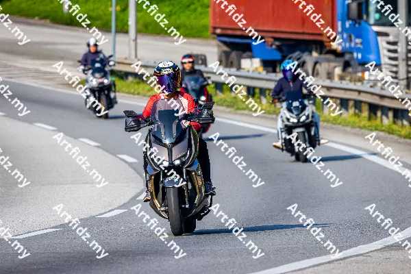 IMG_2641-1