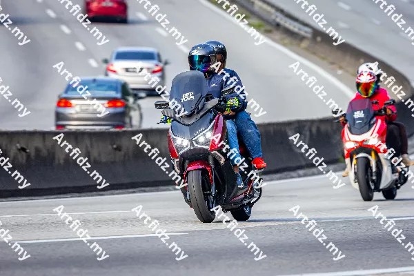 IMG_2864-4