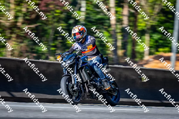 IMG_3440-3