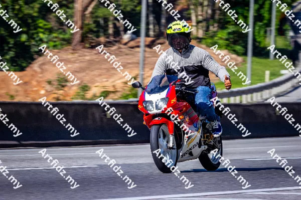 IMG_3538-1