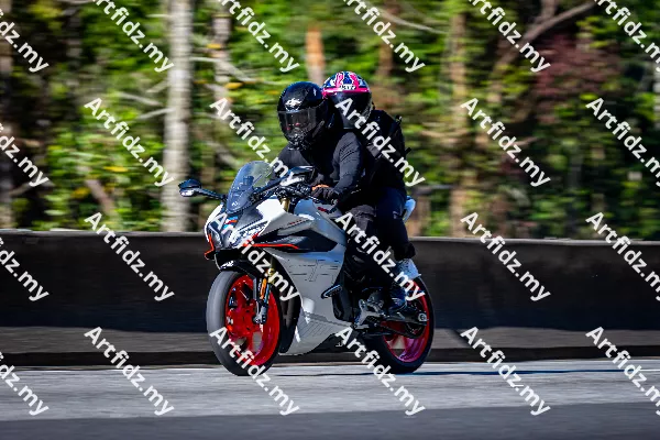 IMG_3618-1