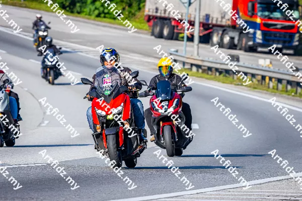 IMG_2543-3