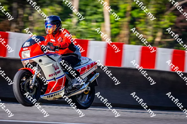 IMG_3249-4
