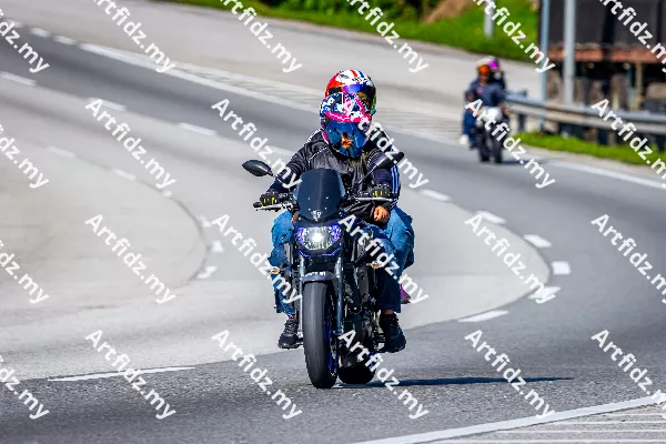 IMG_3895