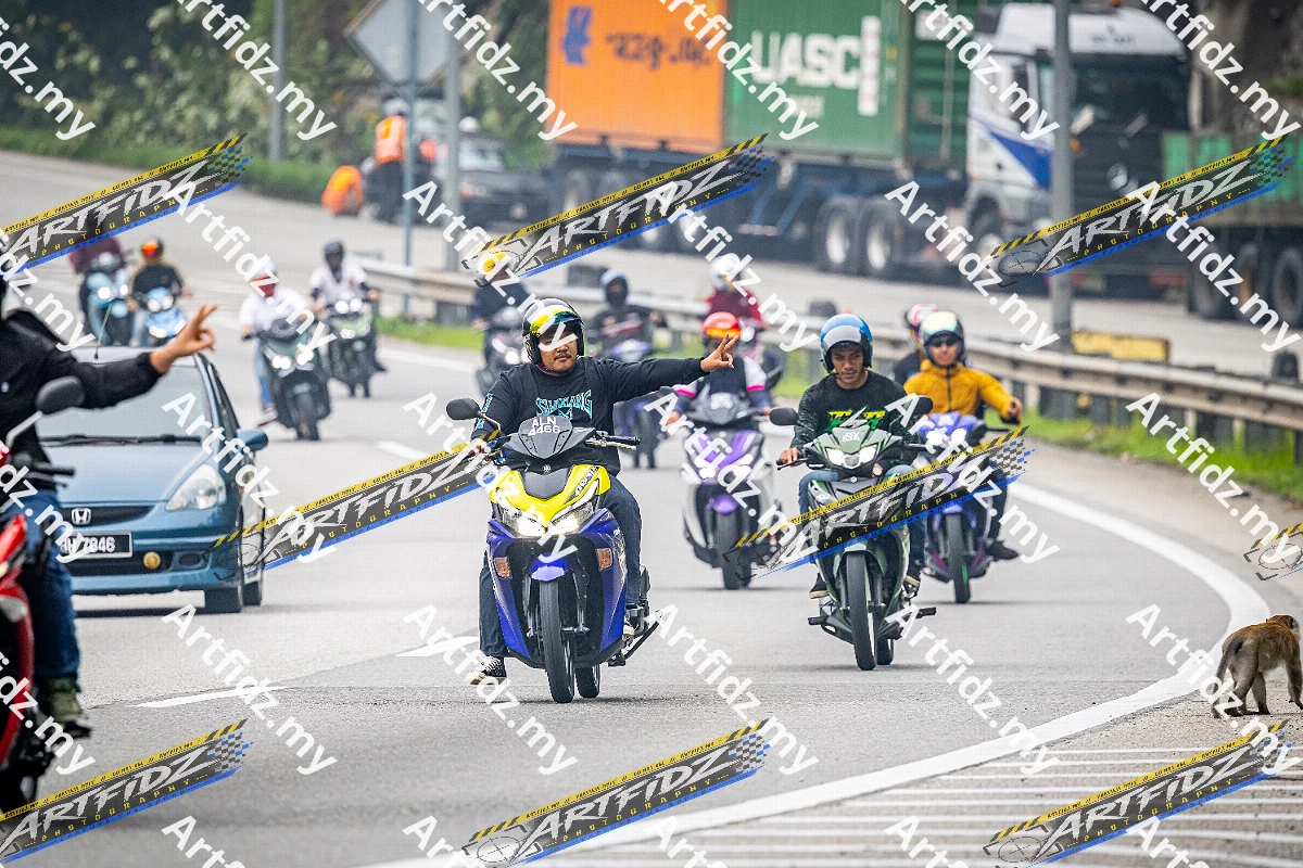 IMG_3960-4